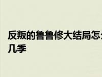 反叛的鲁鲁修大结局怎么其他人全都洗白了 反叛的鲁鲁修有几季 