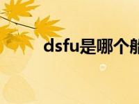 dsfu是哪个船公司的箱子 ds服饰 