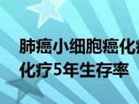 肺癌小细胞癌化疗后存活率有几年 肺腺癌不化疗5年生存率 