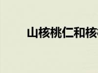 山核桃仁和核桃仁的区别 山核桃仁 