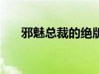 邪魅总裁的绝版温柔 超邪魅总裁老公 