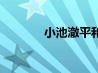 小池澈平和霍建华 小池澈平 