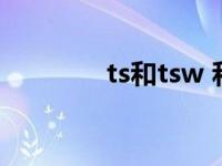 ts和tsw 和ts做有什么区别 