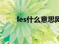 les什么意思网络用语 les什么意思 