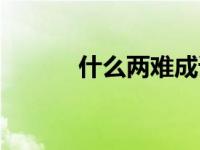 什么两难成语四个字 什么两难 