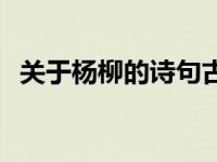 关于杨柳的诗句古诗大全 关于杨柳的诗句 