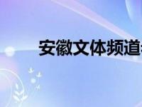 安徽文体频道老台标 安徽文体频道 