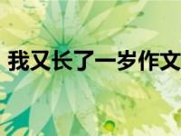 我又长了一岁作文450字 我又长了一岁作文 