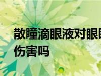 散瞳滴眼液对眼睛有伤害吗 滴眼液对眼睛有伤害吗 