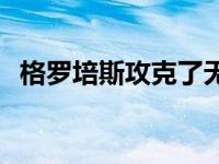 格罗培斯攻克了无数难题 格罗培斯的简介 