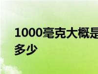 1000毫克大概是多少斤水 1000毫克大概是多少 