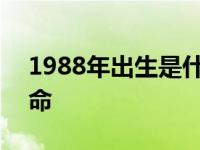 1988年出生是什么命卦 1988年出生是什么命 