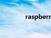 raspberry是什么意思 ras 