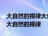 大自然的规律大鱼吃小鱼小鱼吃虾米虾米吃 大自然的规律 