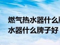 燃气热水器什么牌子好适合家庭使用 然气热水器什么牌子好 