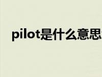 pilot是什么意思怎么读 pilot是什么意思 