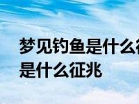 梦见钓鱼是什么征兆但又把鱼放了 梦见钓鱼是什么征兆 