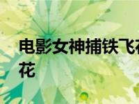 电影女神捕铁飞花之迷结局 电影女神捕铁飞花 