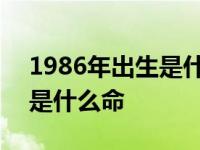 1986年出生是什么命炉中火命 1986年出生是什么命 