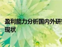 盈利能力分析国内外研究现状总结 盈利能力分析国内外研究现状 