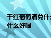 干红葡萄酒兑什么好喝怎么兑 干红葡萄酒兑什么好喝 