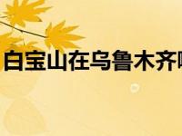 白宝山在乌鲁木齐哪里抢了1百多万 多万dnf 