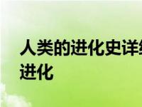 人类的进化史详细的全部的进化过程 人类的进化 