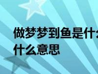 做梦梦到鱼是什么意思请解梦 做梦梦到鱼是什么意思 