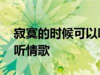 寂寞的时候可以听情歌欢子 寂寞的时候可以听情歌 