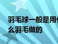 羽毛球一般是用什么毛做成的 羽毛球是用什么羽毛做的 