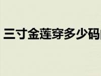 三寸金莲穿多少码的鞋子 三寸金莲是多少码 