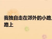 我独自走在郊外的小路上下一句是什么 我独自走在郊外的小路上 