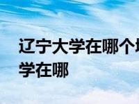 辽宁大学在哪个城市哪个区哪个街道 辽宁大学在哪 