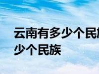 云南有多少个民族实行了区域自治 云南有多少个民族 