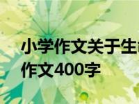 小学作文关于生命的作文400字 关于生命的作文400字 