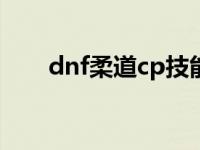 dnf柔道cp技能演示 dnf柔道家技能 