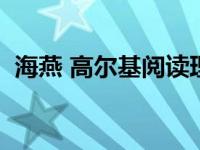 海燕 高尔基阅读理解 高尔基海燕阅读答案 