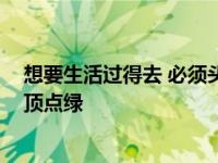 想要生活过得去 必须头上顶点绿 要想生活过得去头上就得顶点绿 