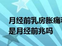 月经前乳房胀痛和怀孕胀痛的区别 乳房胀痛是月经前兆吗 