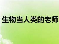 生物当人类的老师 人类以生物为老师的事例 