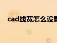 cad线宽怎么设置100 cad线宽怎么设置 