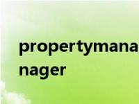 propertymanager 自定义类 propertymanager 