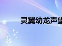 灵翼幼龙声望怎么开启 灵翼幼龙 