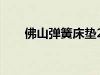 佛山弹簧床垫2020年新款 佛山弹簧 