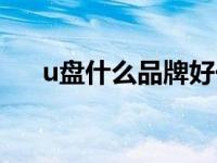 u盘什么品牌好一点 u盘什么牌子好看 