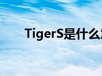 TigerS是什么意思 tiger是什么意思 