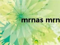 mrnas mrna医学上是什么意思 