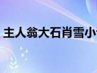 主人翁大石肖雪小说 大石肖雪全文免费阅读 