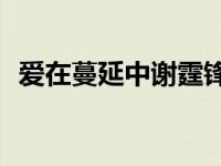 爱在蔓延中谢霆锋mp3百度云 爱在蔓延中 