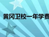 黄冈卫校一年学费大概需要多少? 黄冈卫校 